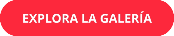 EXPLORA LA GALERÍA